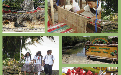 Bohol Suprise Tours 1