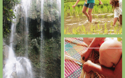 Bohol Surprise Tour 5