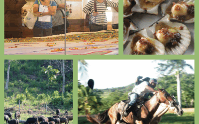 Bohol Surprise Tour 7