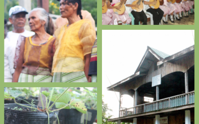 Bohol Surprise Tour 9