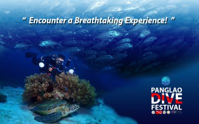 Panglao Dive Festival 2021