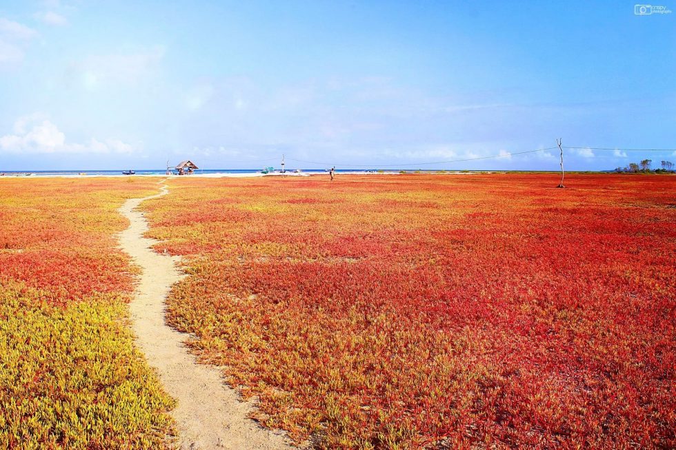 Bohol Island Aspiring Unesco Global Geopark | Behold Bohol